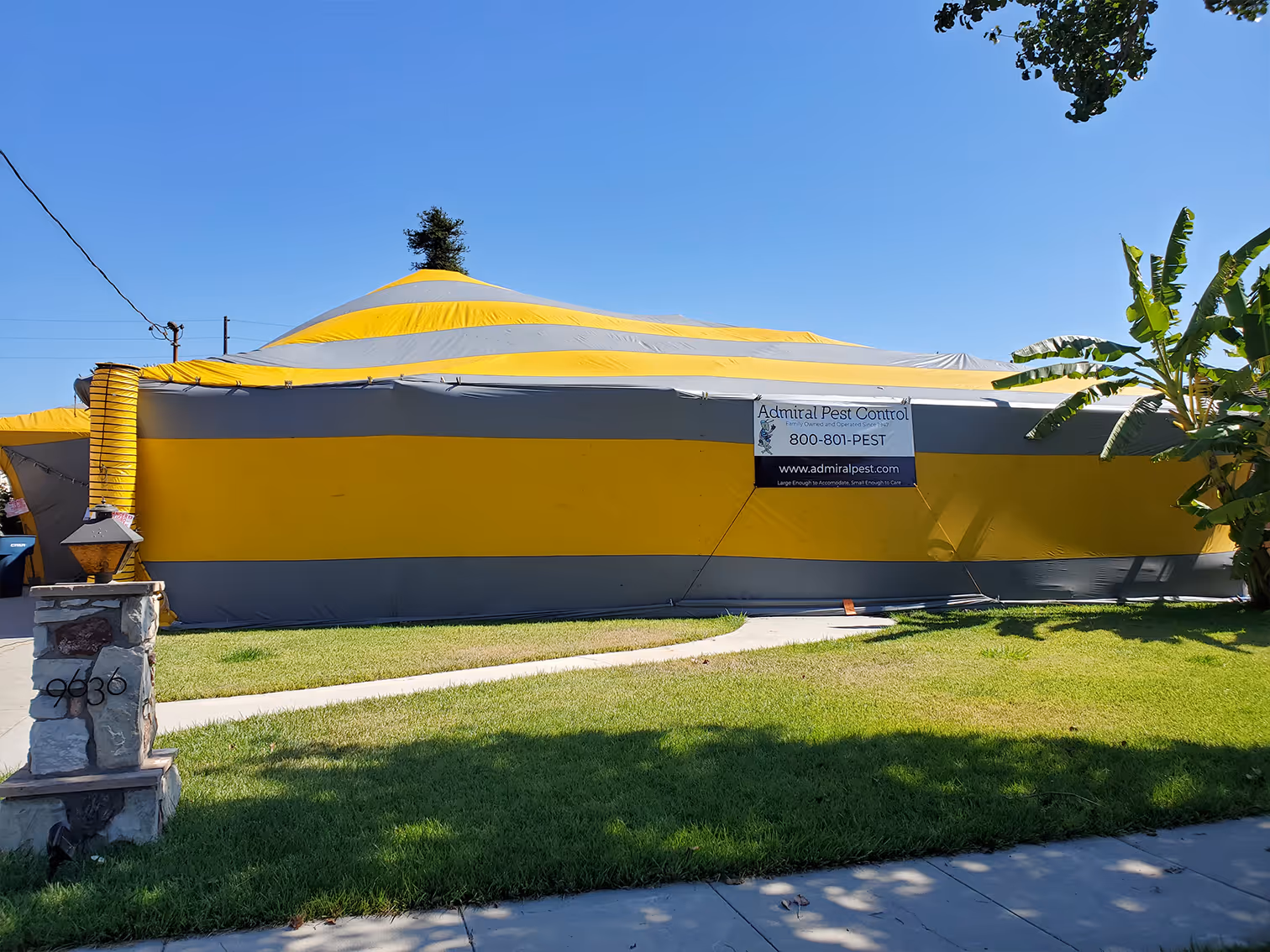 fumigating a california home to treat for termites