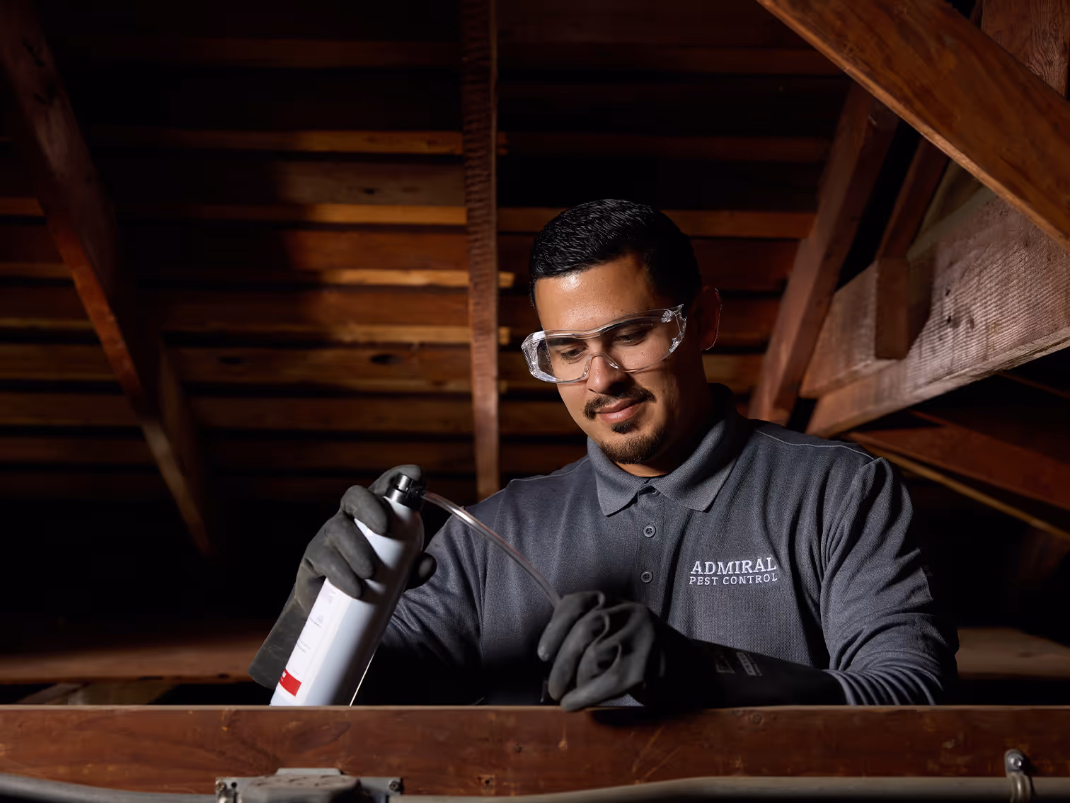 treating an irvine ca home for termites