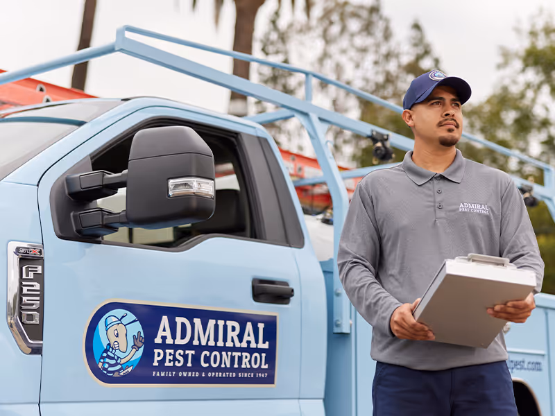 california cockroach control specialist