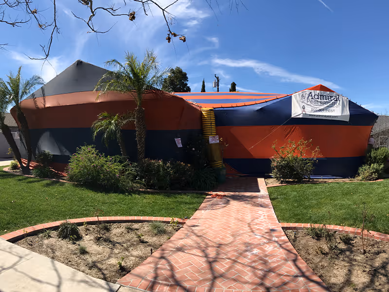 home in california being fumigated for termites