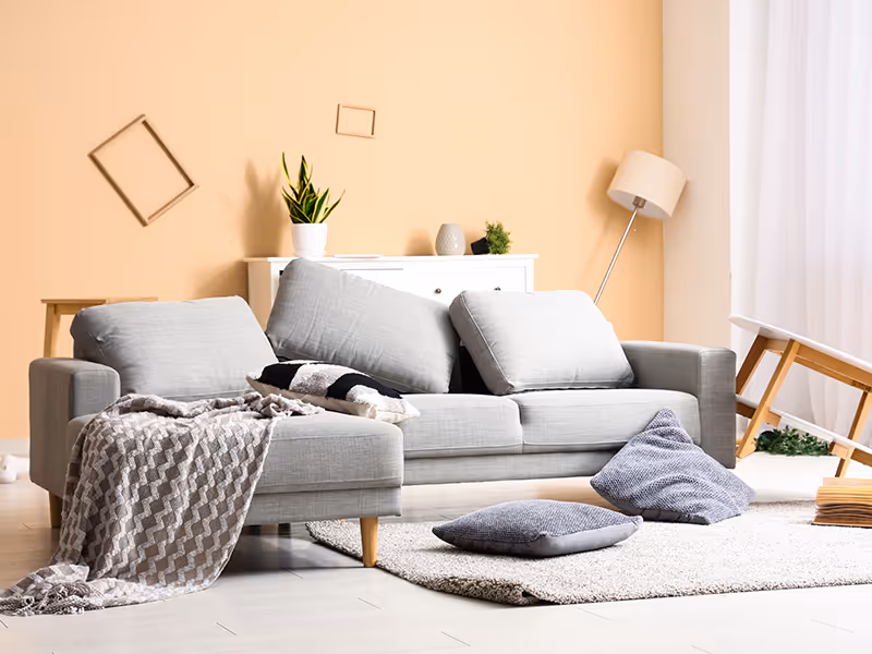 roden infestation in living room