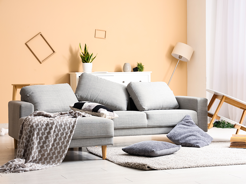 roden infestation in living room