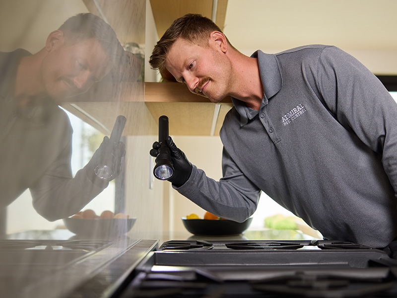 pest tech inspecting stove