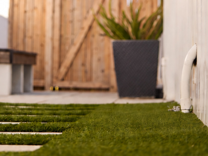 green grass