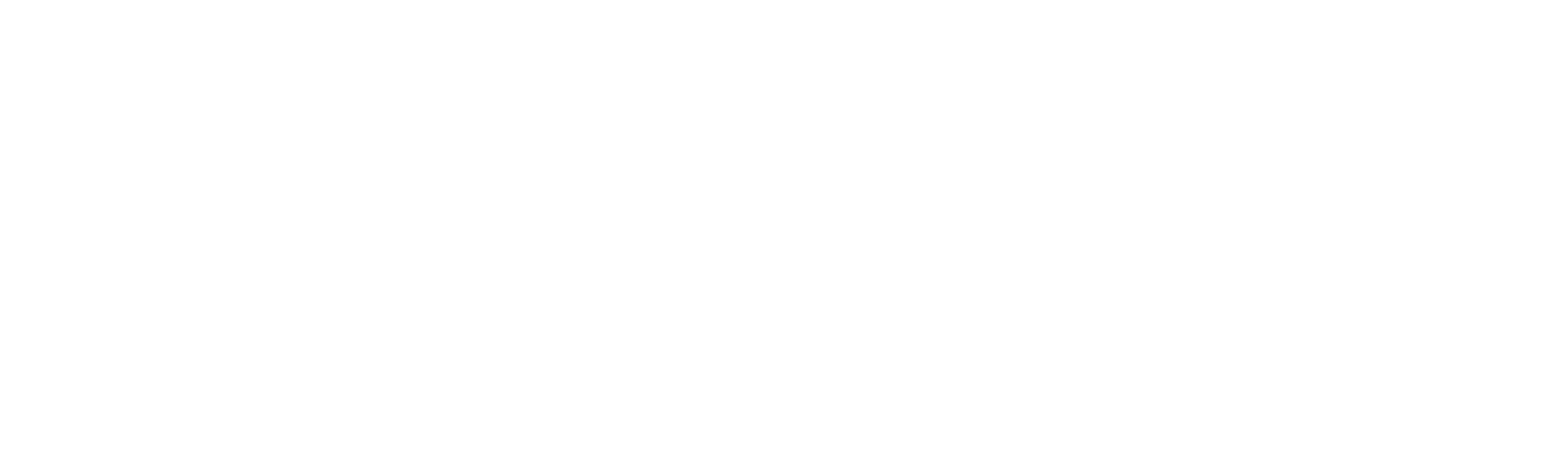 ACE Ventures