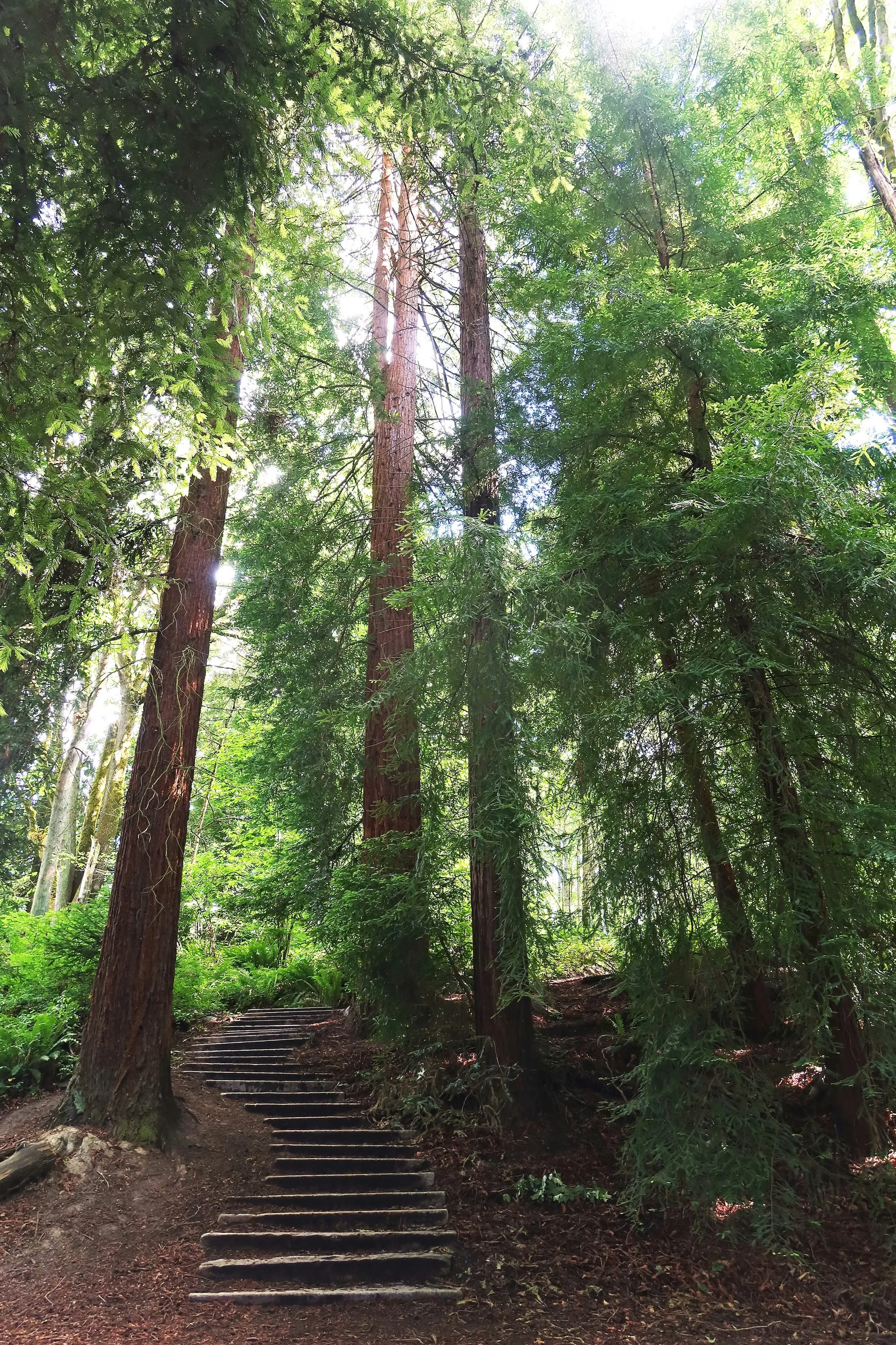 image of a tidy living room (for a cleaning service)