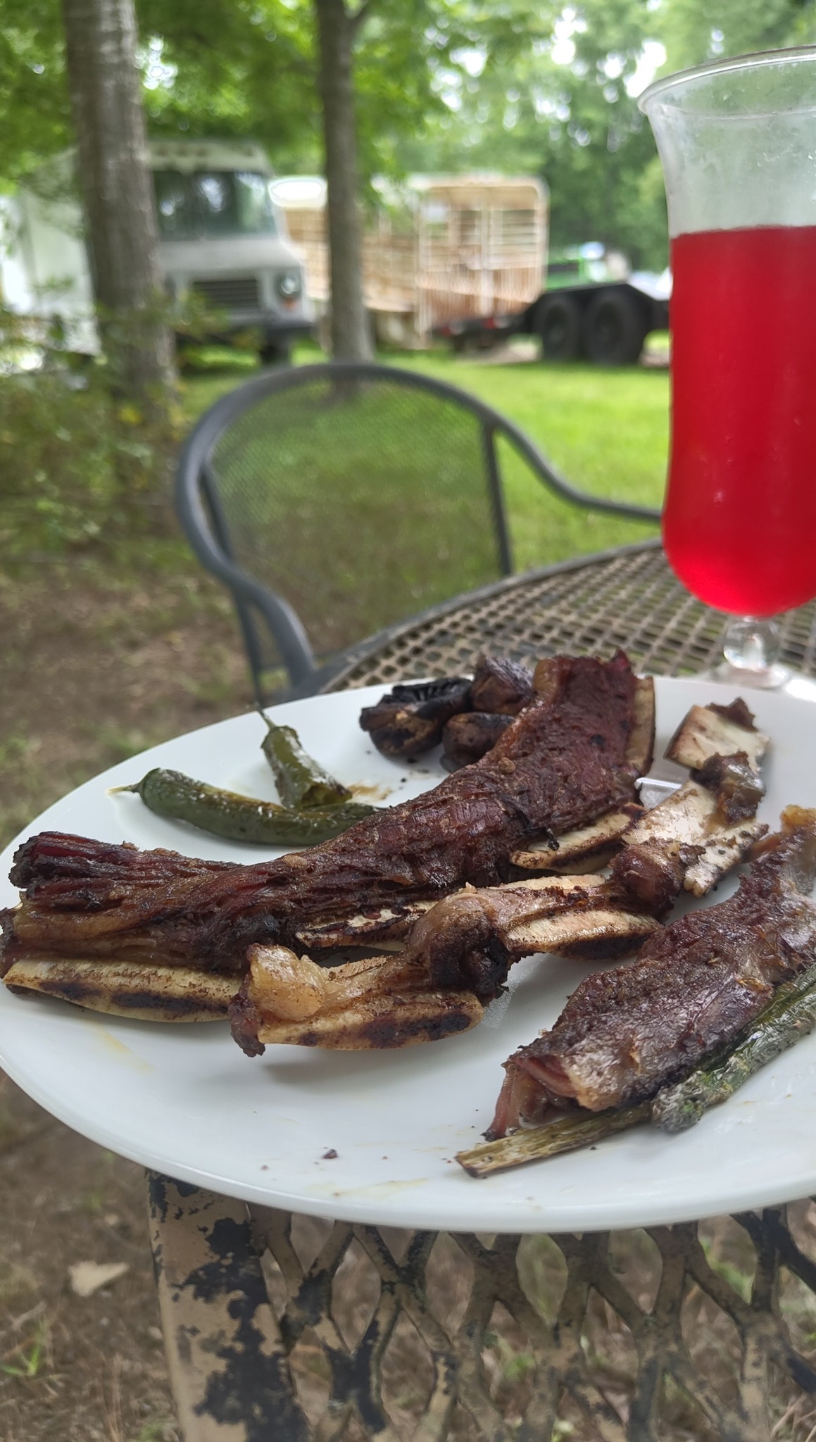 Grass-fed beef cattle at 9:4 Ranch farm in McRae, Arkansas