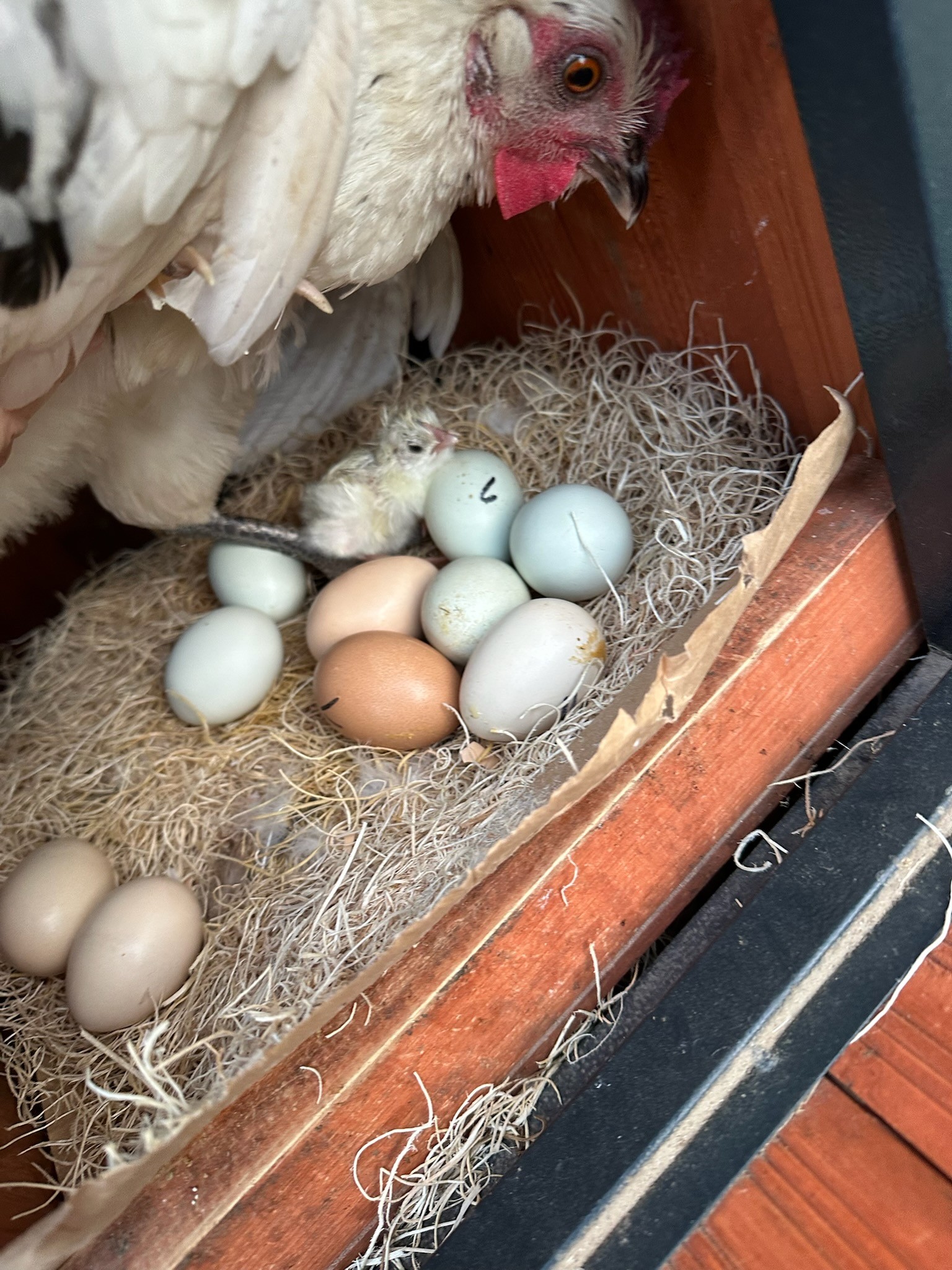 image of property viewing appointment