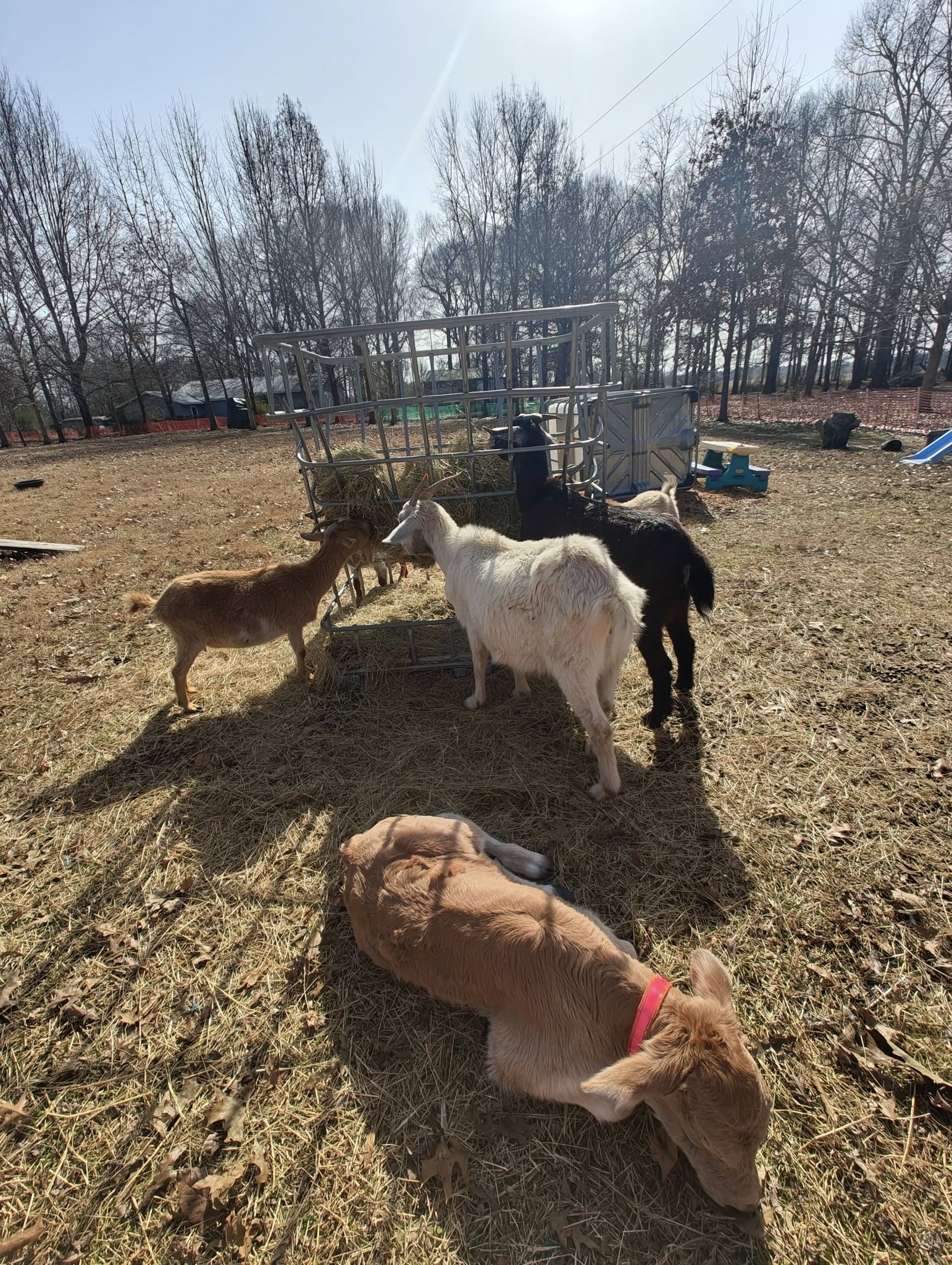 image of ongoing community projects