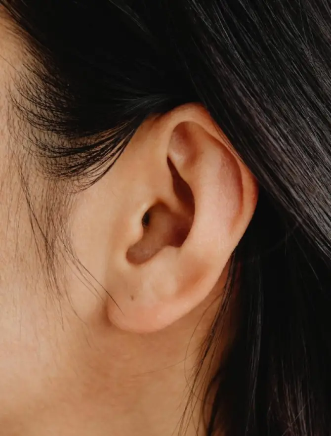 A close up of an ear