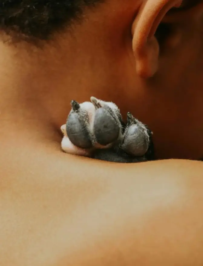 A close up of a dog's paw