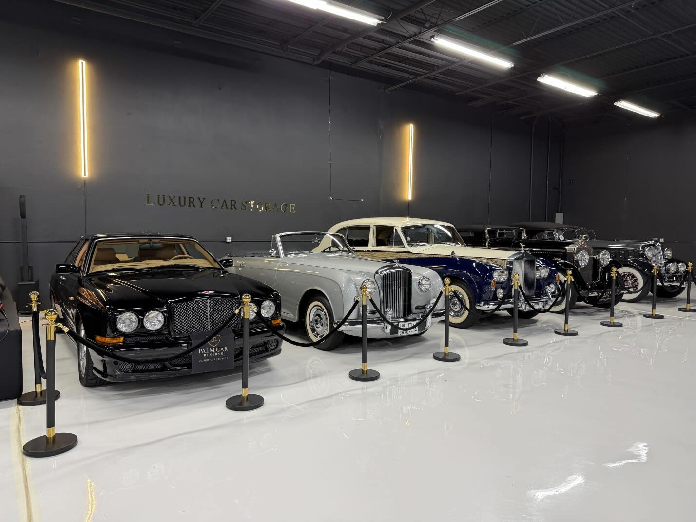 Exotic car preserved in Palm Car Reserve