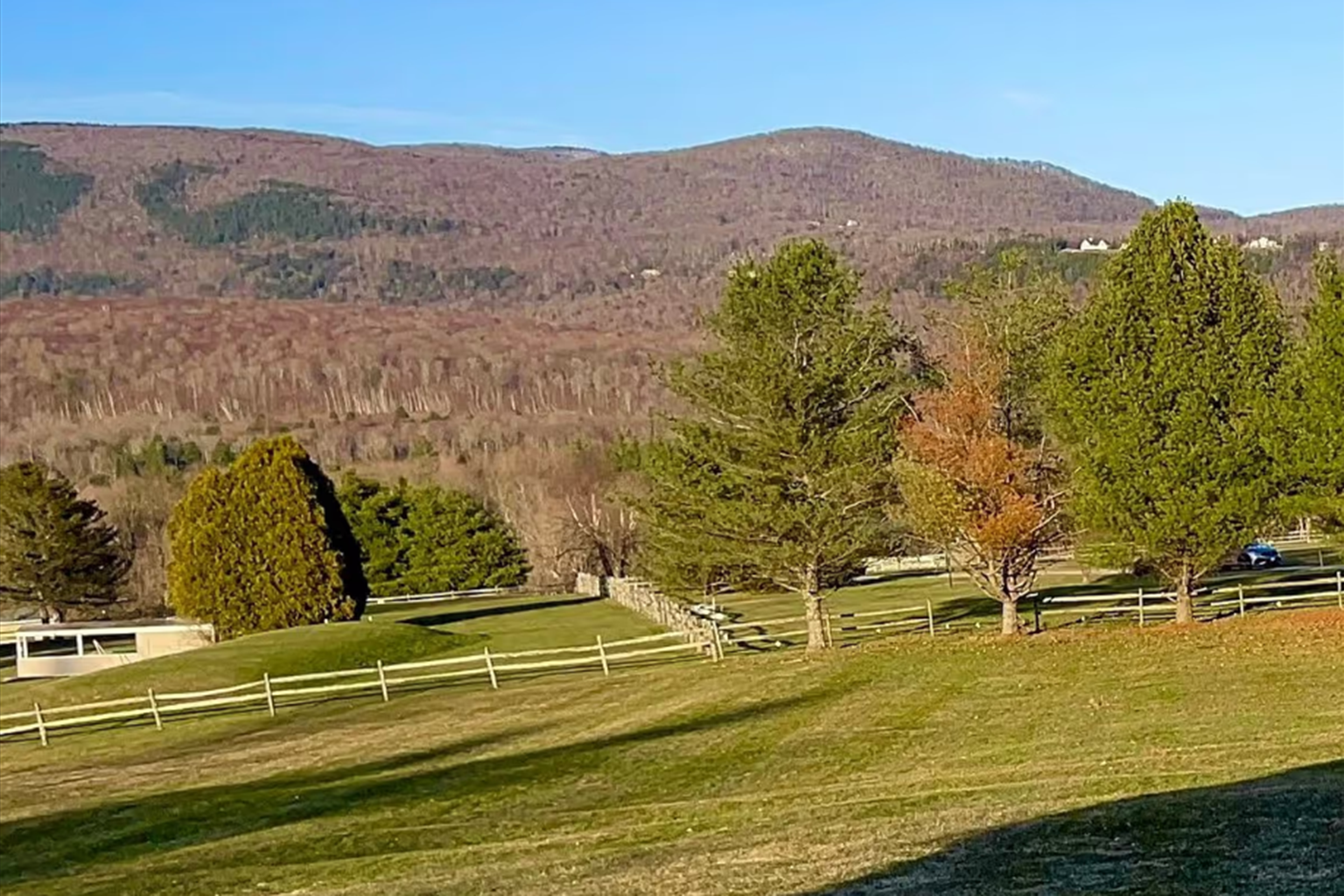 Grassy field with scattered evergreen trees and wooden fences under a clear blue sky with forest-covered mountains in the background.