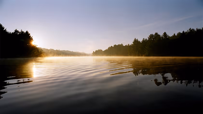 Calm lake at sunrise with mist over the water and trees silhouetted on the horizon.