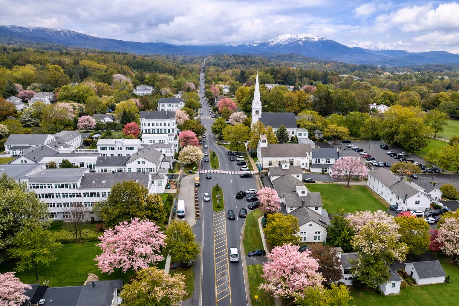 Aerial view of a village street lined with white buildings and pink flowering trees, with forest and snow-capped mountains in the background.