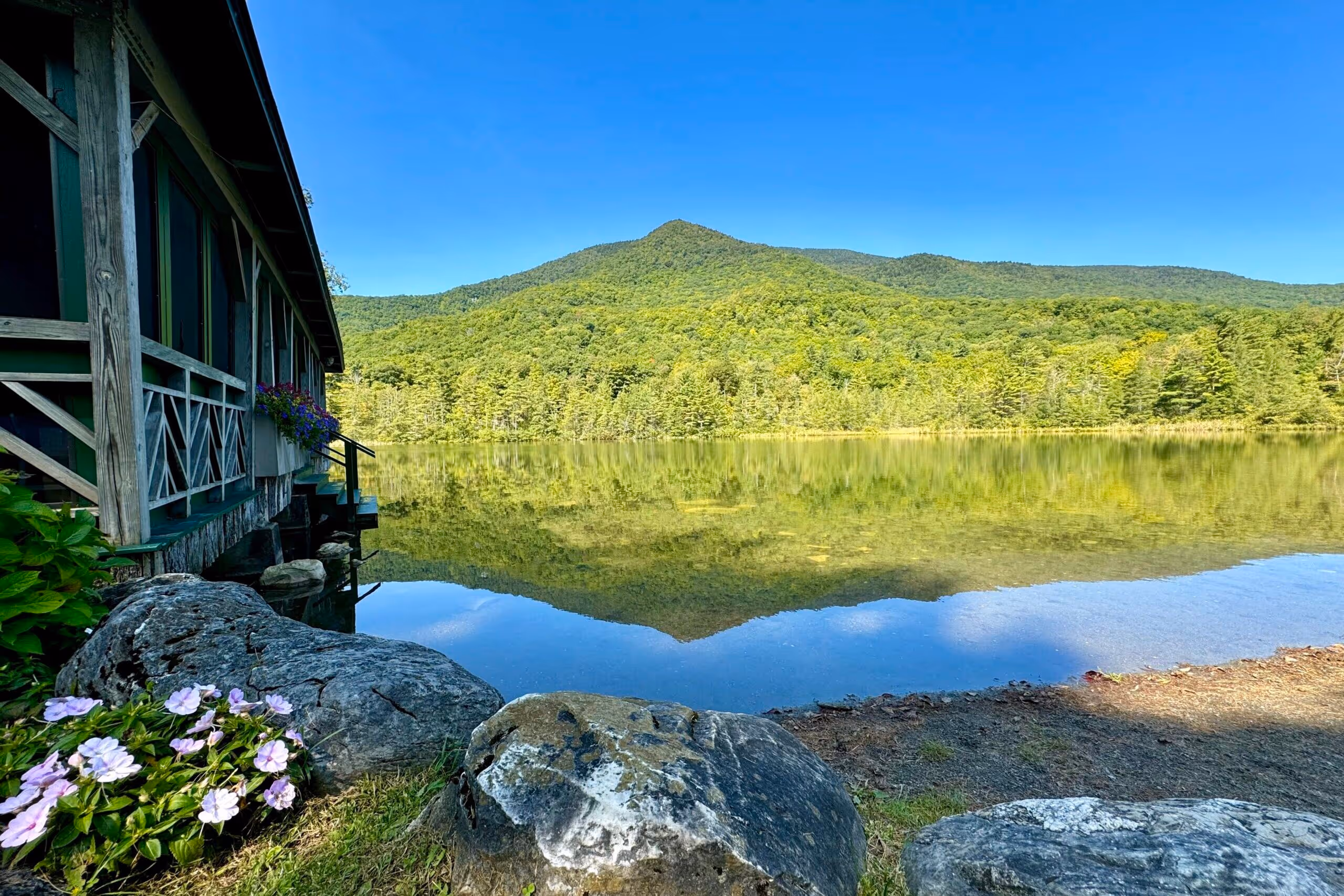 Calm lake reflecting green forested mountain under a clear blue sky with rocks and flowers near a wooden cabin on the shore.