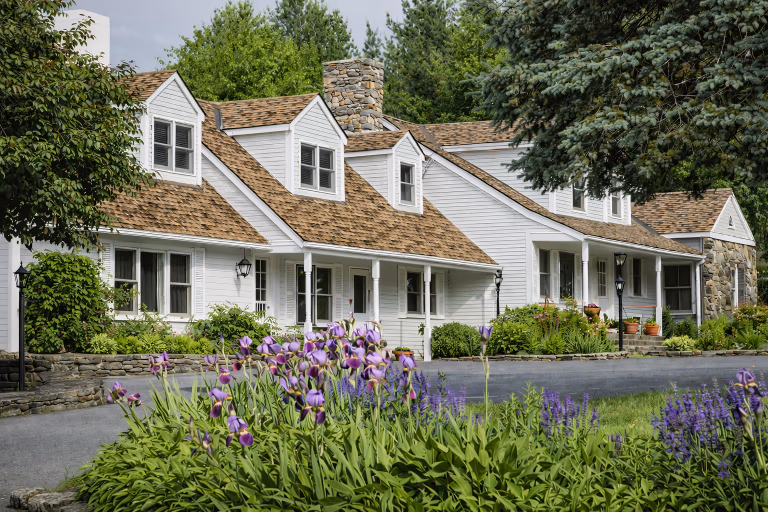 White house with brown roof surrounded by green trees and purple flowers in front garden.