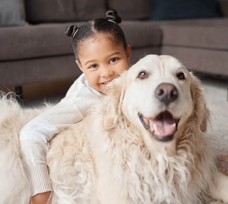 Smiling young girl hugging a happy golden retriever indoors with a gray couch in the background.