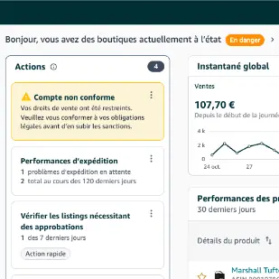 Image service mission assistance Amazon (variation)