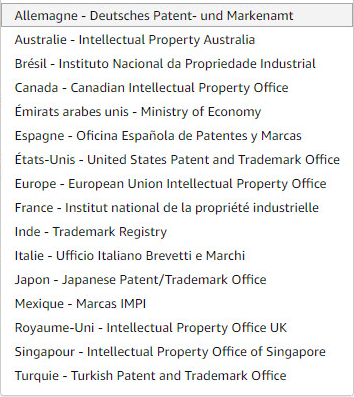 Enregistrer sa marque Amazon Brand Registry Propriété Intellectuelle Organismes