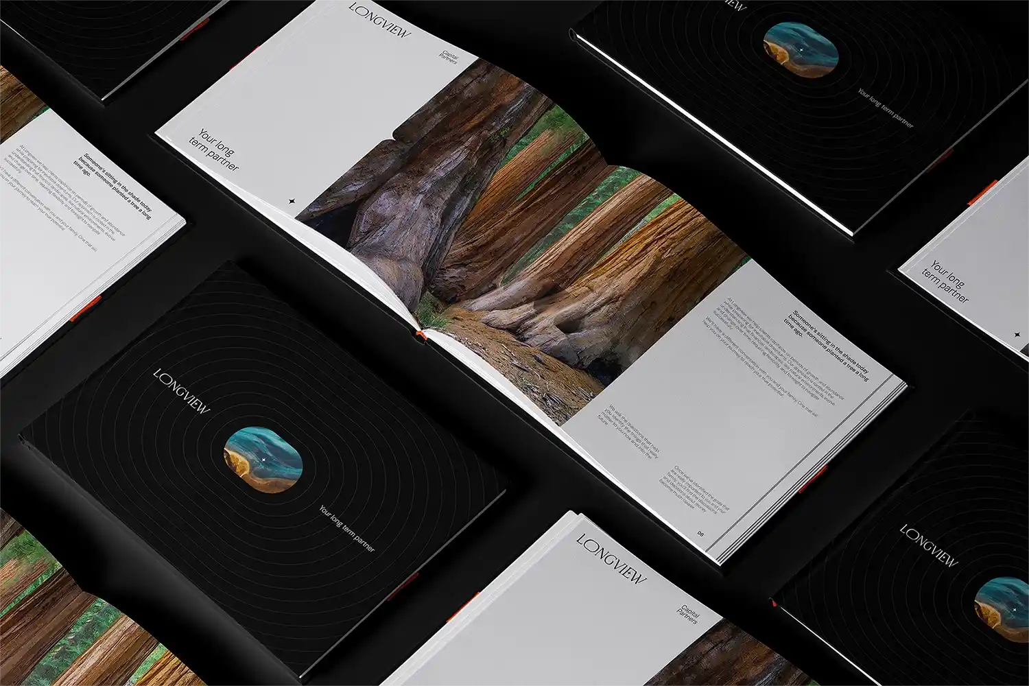 Open and closed books displaying forest photography and modern design.