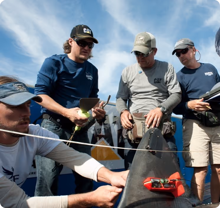 Four men in outdoor gear examining a shark with a red electronic device attached, against a cloudy blue sky.