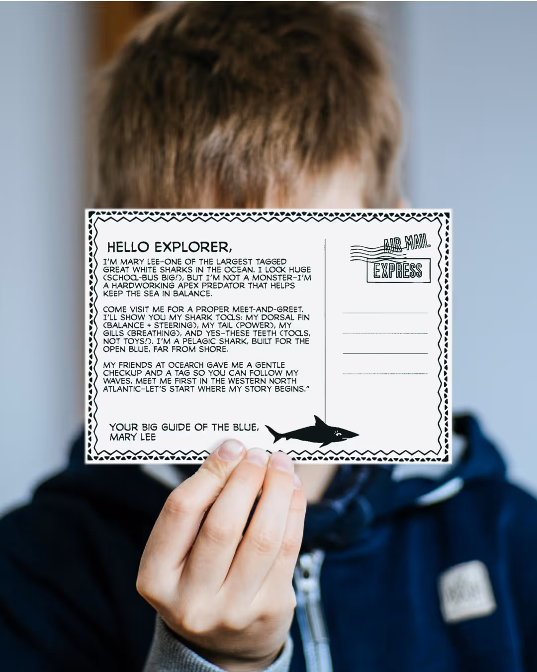 Person holding a postcard with a message from Mary Lee, a large tagged great white shark, inviting the reader to learn about shark features and to follow her journey in the Western North Atlantic.