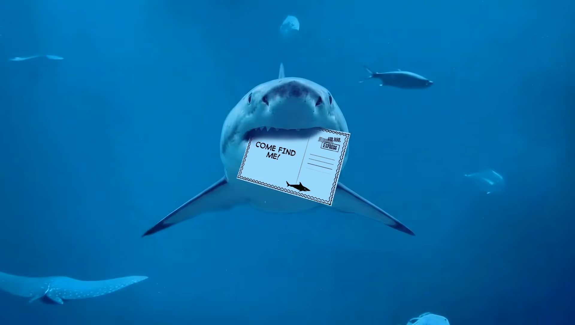 Great white shark swimming underwater holding a POSTPALS postcard in its mouth that says 'COME FIND ME!' AI-generated.