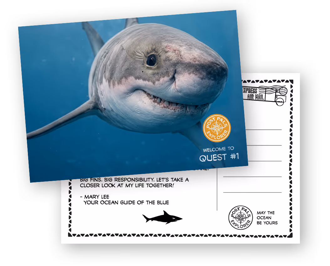 Postcard featuring a close-up of a great white shark underwater with text 'Welcome to Quest #1' and PostPals Explorer logo.