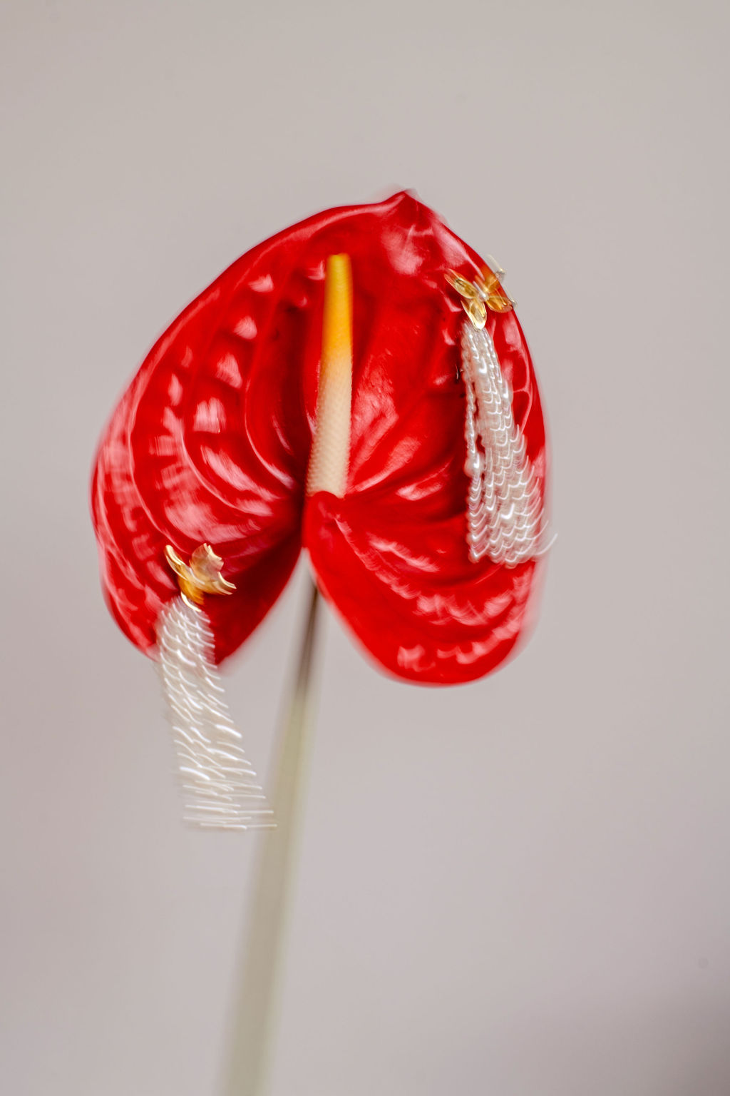 Shooting artistique d'une paire de boucle d'oreille en perle dans l'univers du mariage