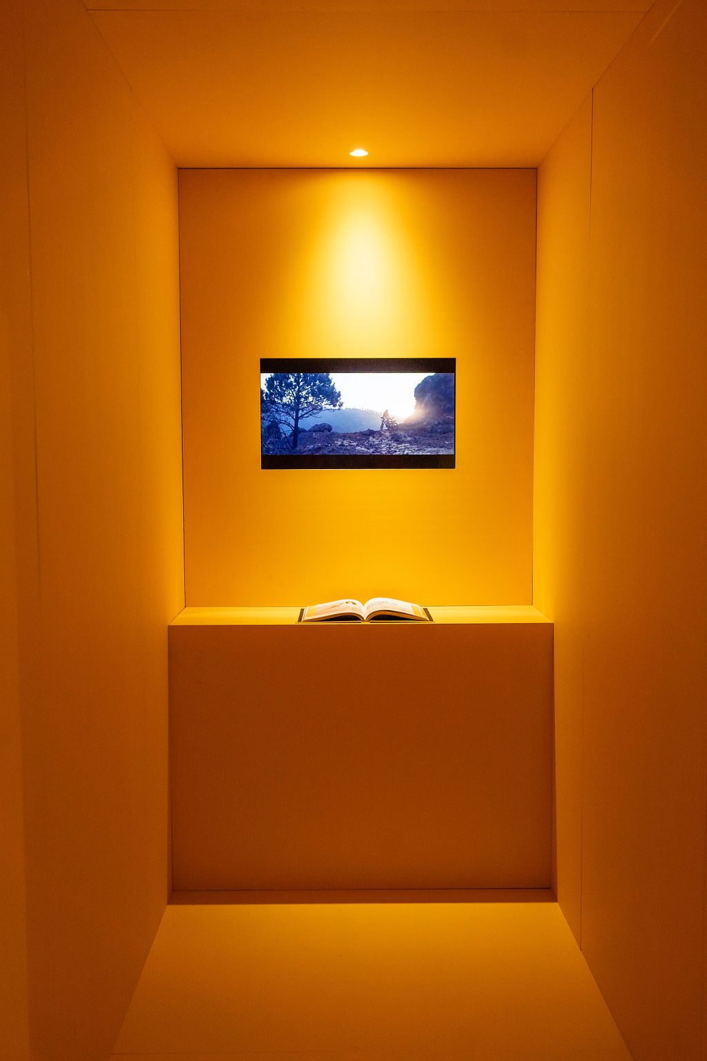 Reportage photo pour une entreprise luxueuse à Paris, à La Cité de l’architecture