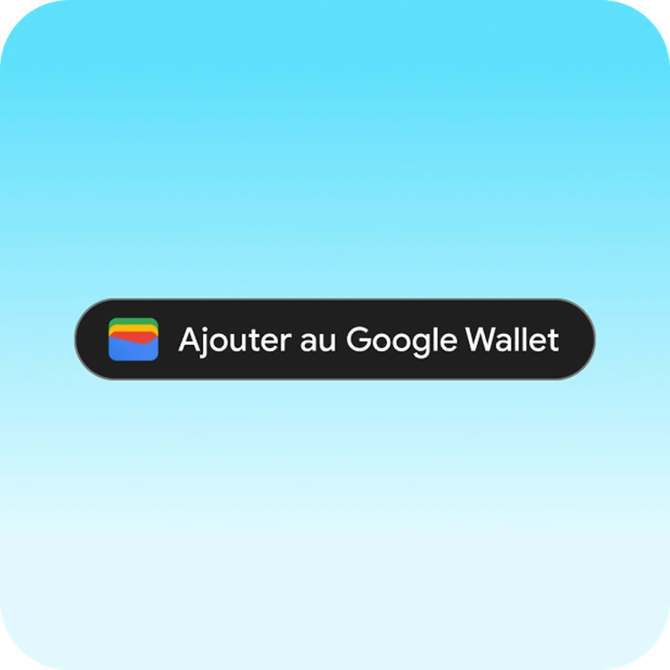 Bouton Afficher dans Google Wallet