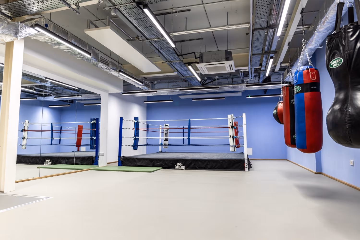 Boxing Suite