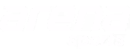 Arena Sports Logo