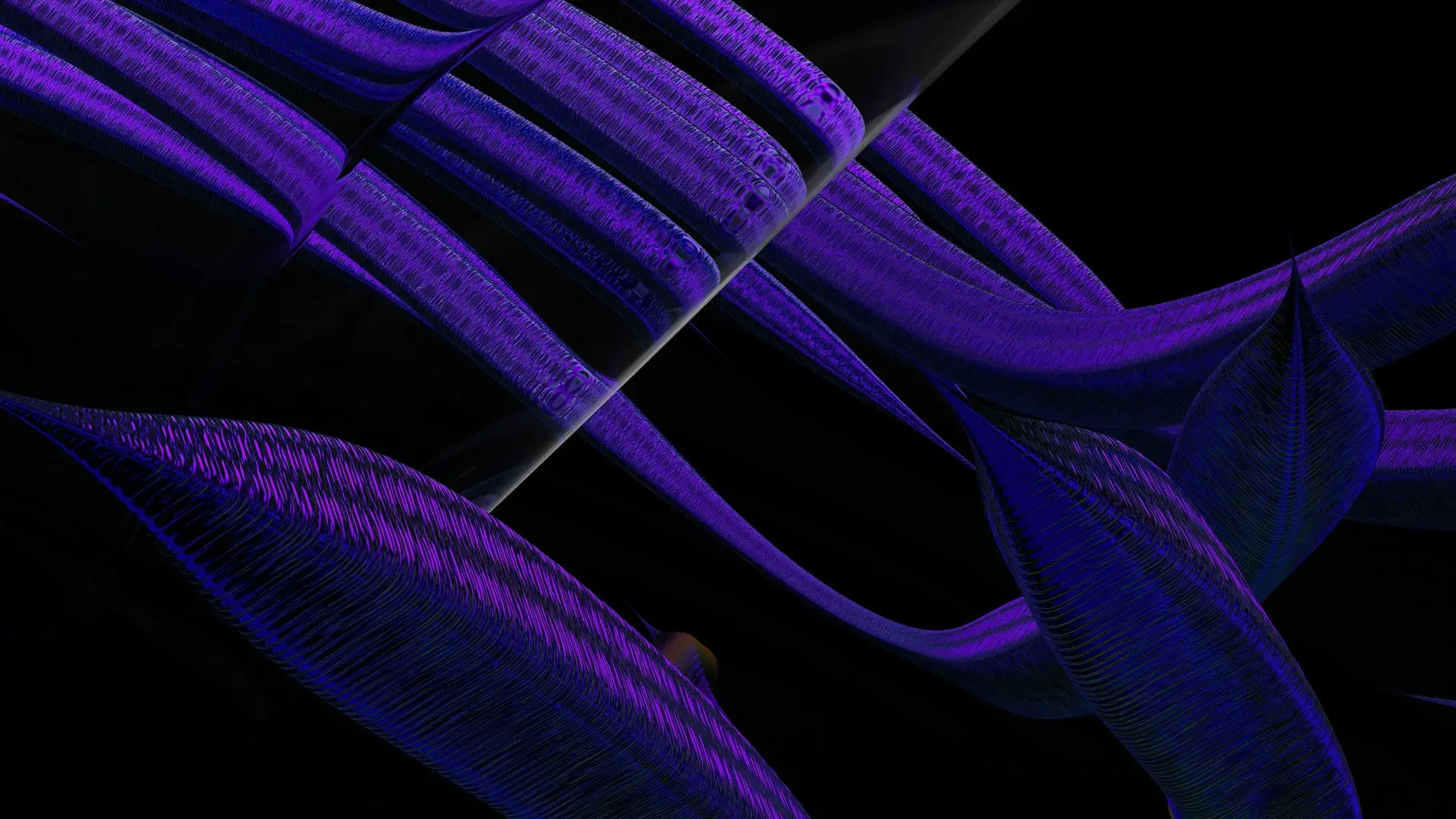 Abstract flowing ribbons in dark blue and purple with a black background.