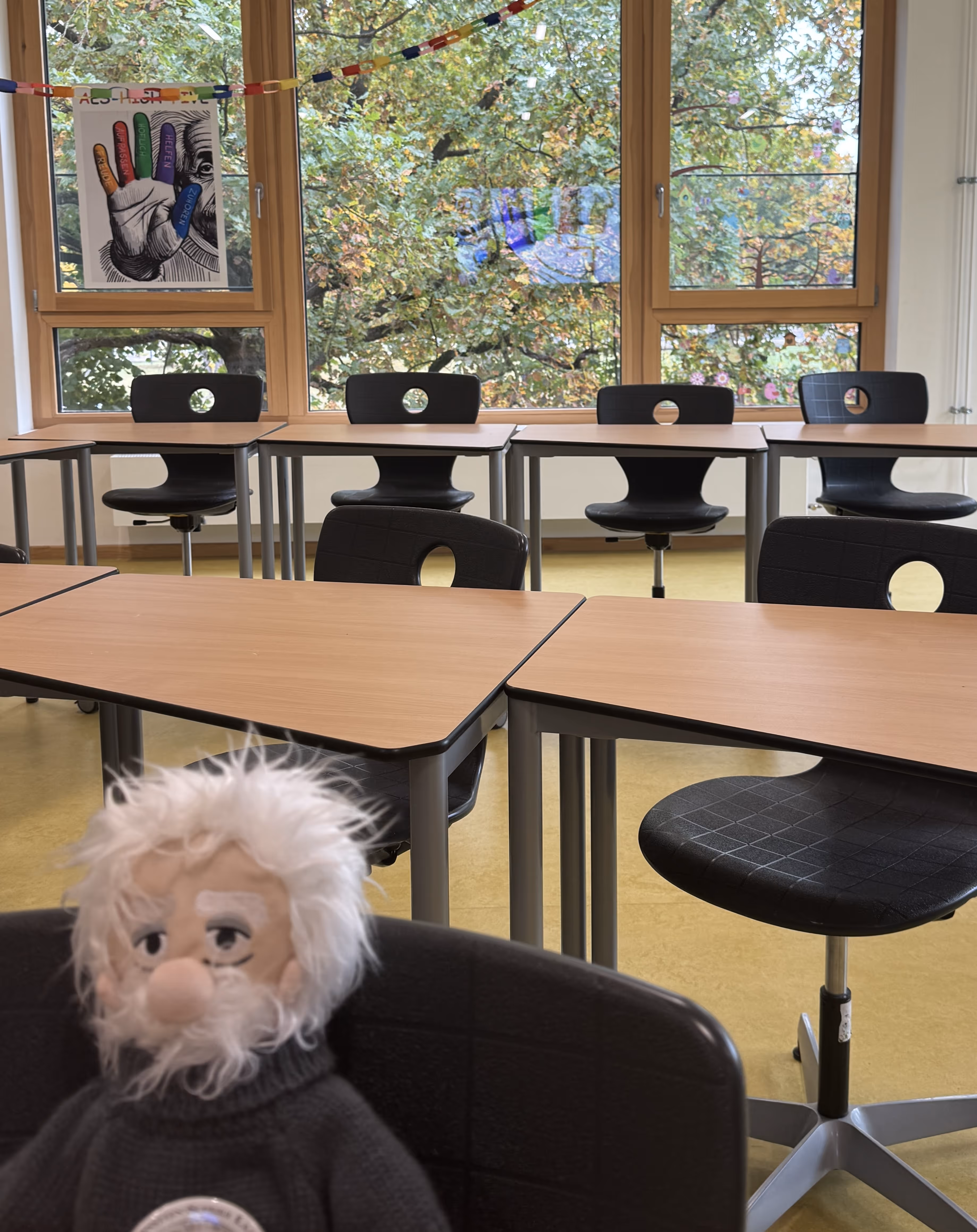 Klassenzimmer mit Holzschreibtischen, schwarzen Stühlen und einem Einstein-Plüschtier im Vordergrund vor großen Fenstern mit Blick auf Bäume.