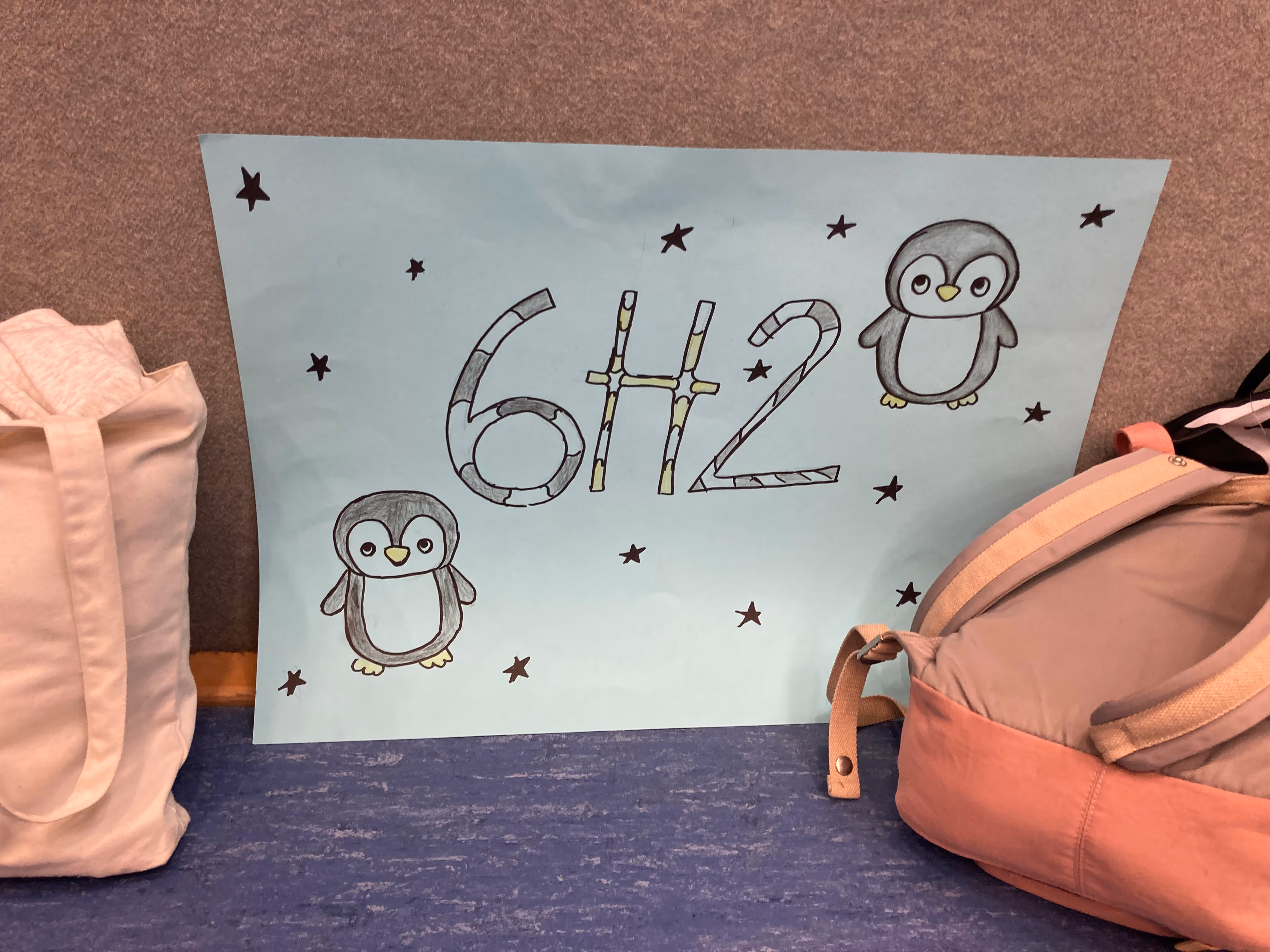 Klassenschild 6H2 mit Eulen