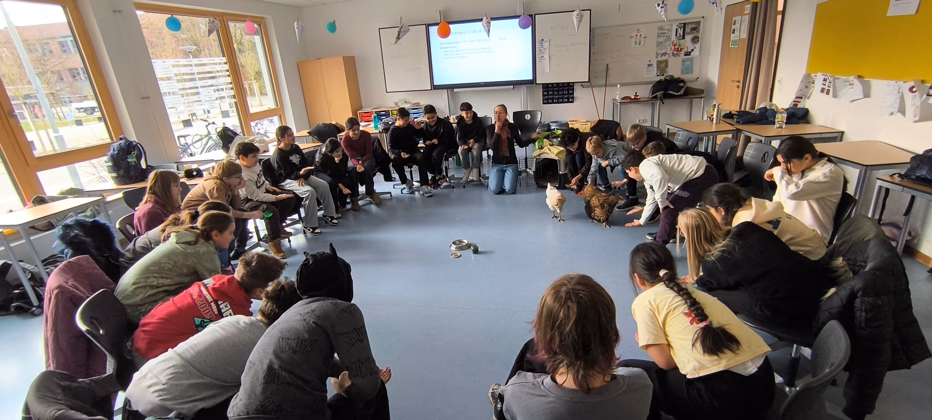 Stuhlkreis im Klassenraum. Huhn in der Mitte.