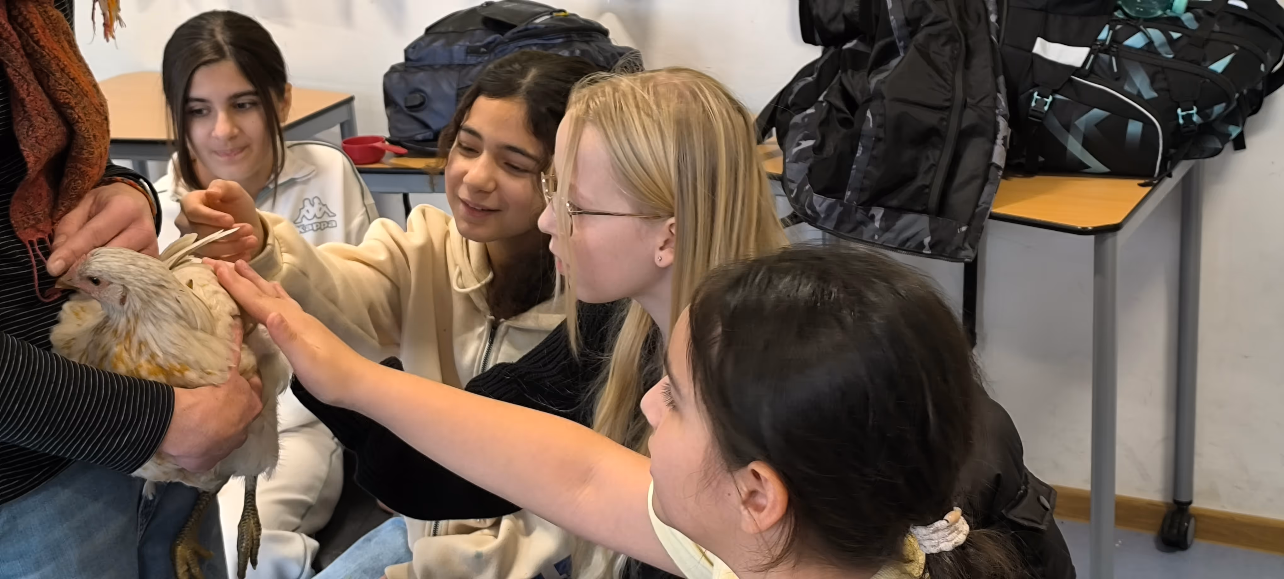 Schülerinnen streicheln Huhn