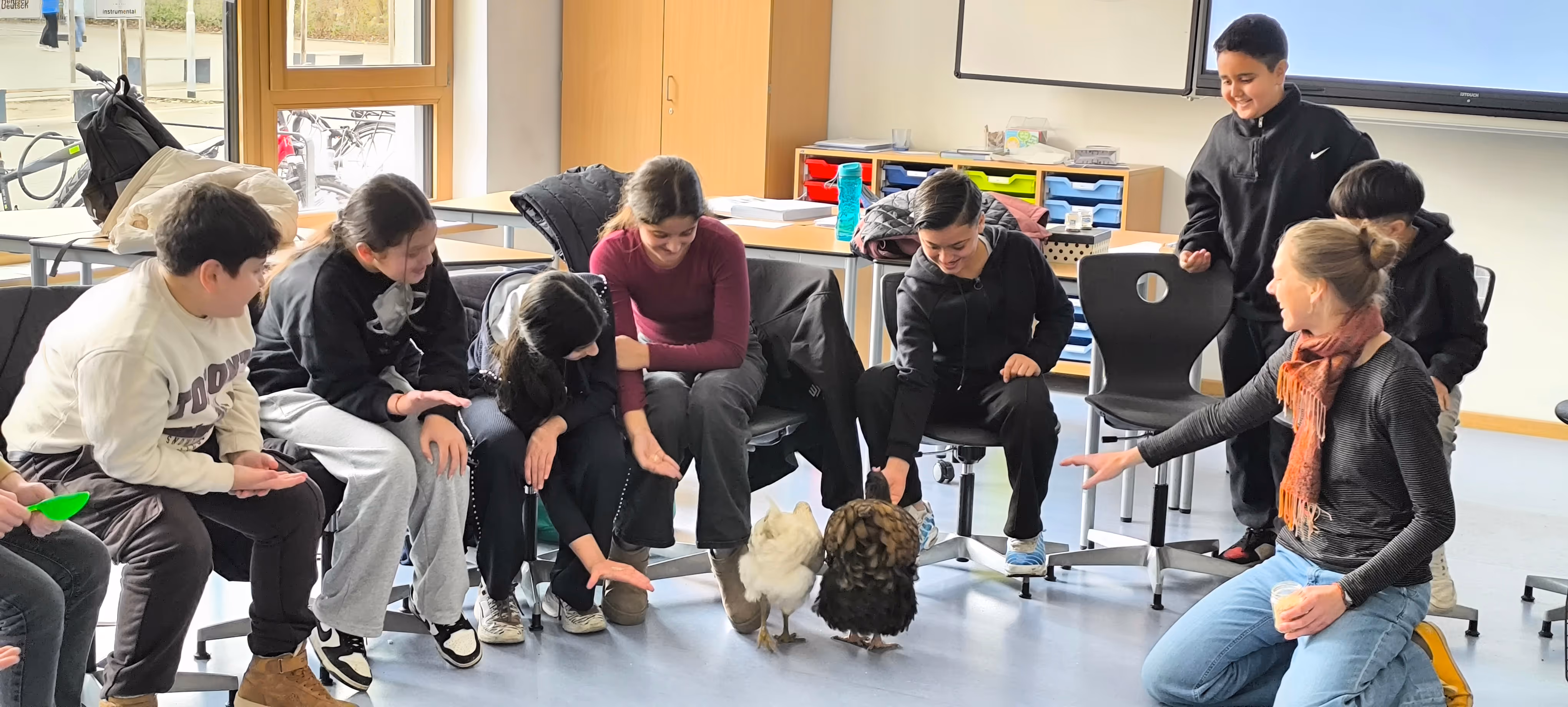 Frau Fischer zeigt auf das Huhn und den Hahn, Schüler*innen schauen fasziniert