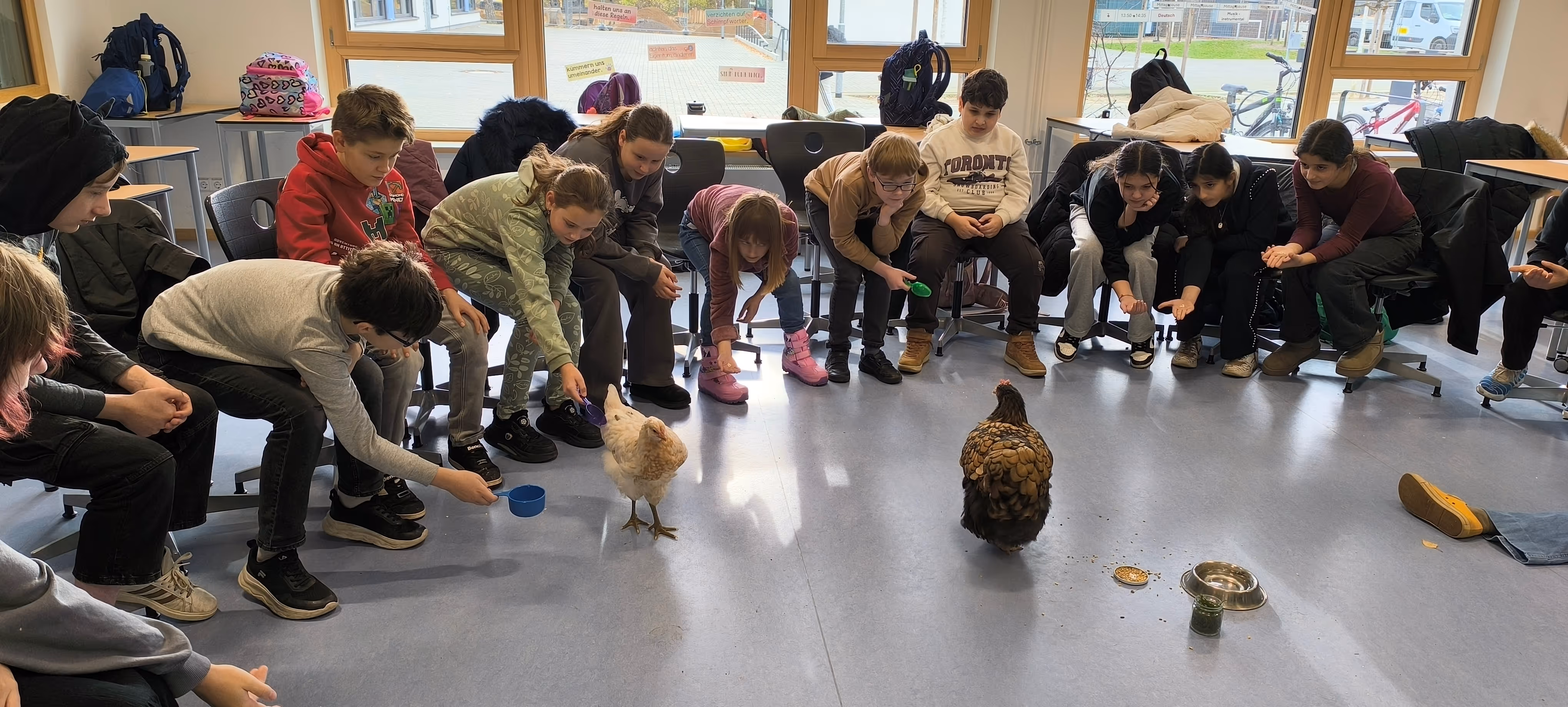 Schüler*innen füttern Huhn und schauen fasziniert zum Hahn