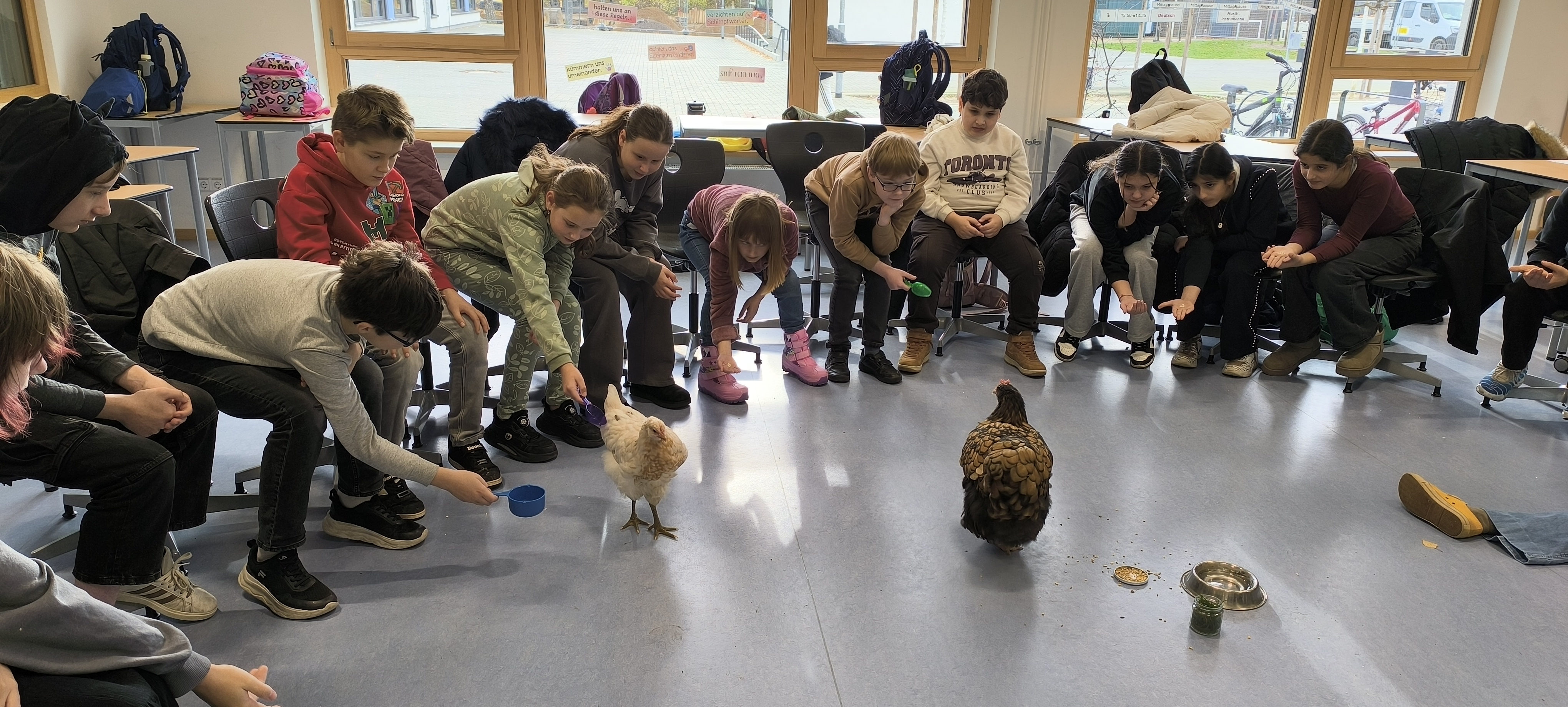 Schüler*innen füttern Huhn und schauen fasziniert zum Hahn