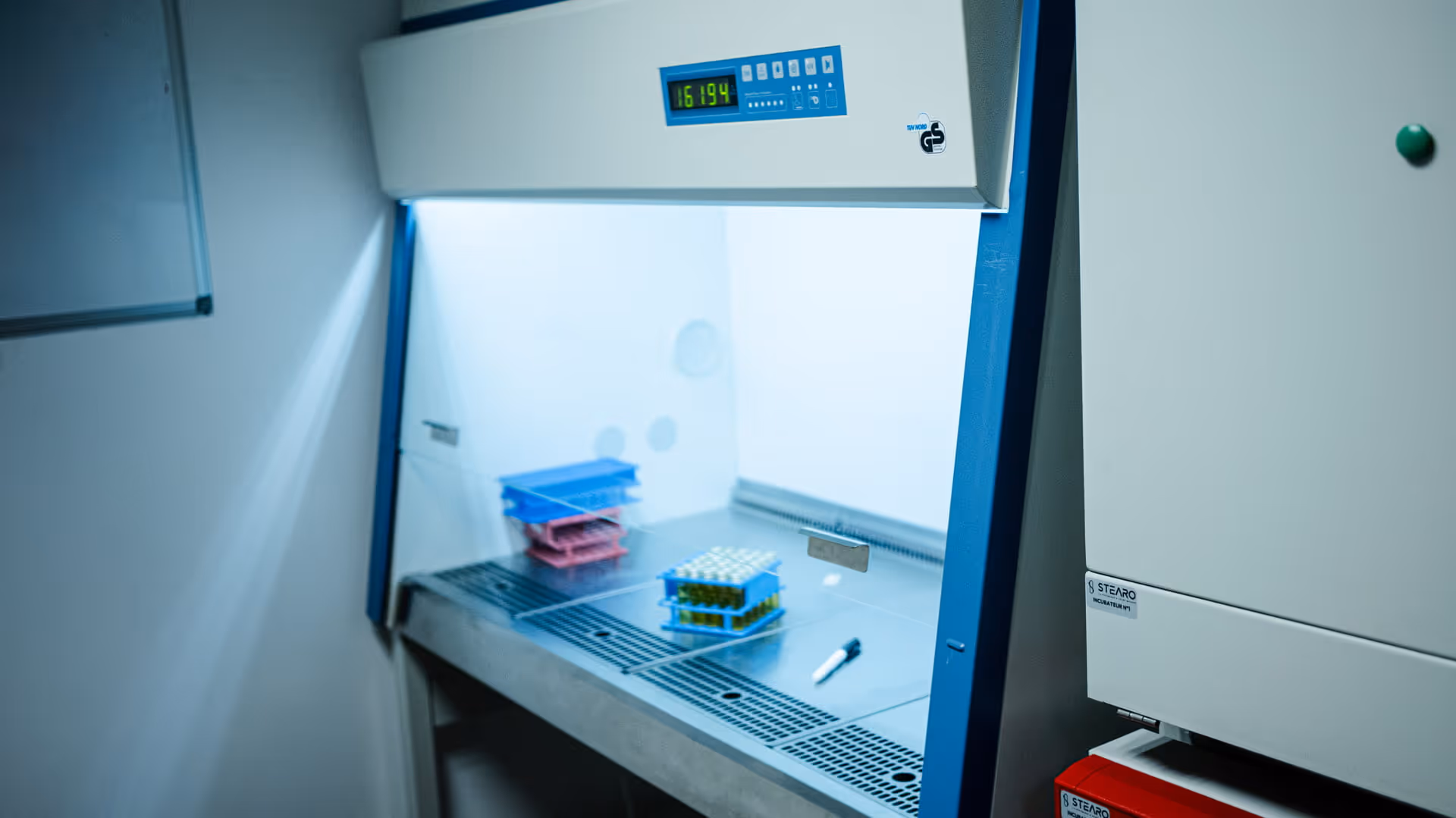 Hotte ventilée de laboratoire avec plusieurs racks de tubes à essai sur la surface de travail en acier inoxydable.