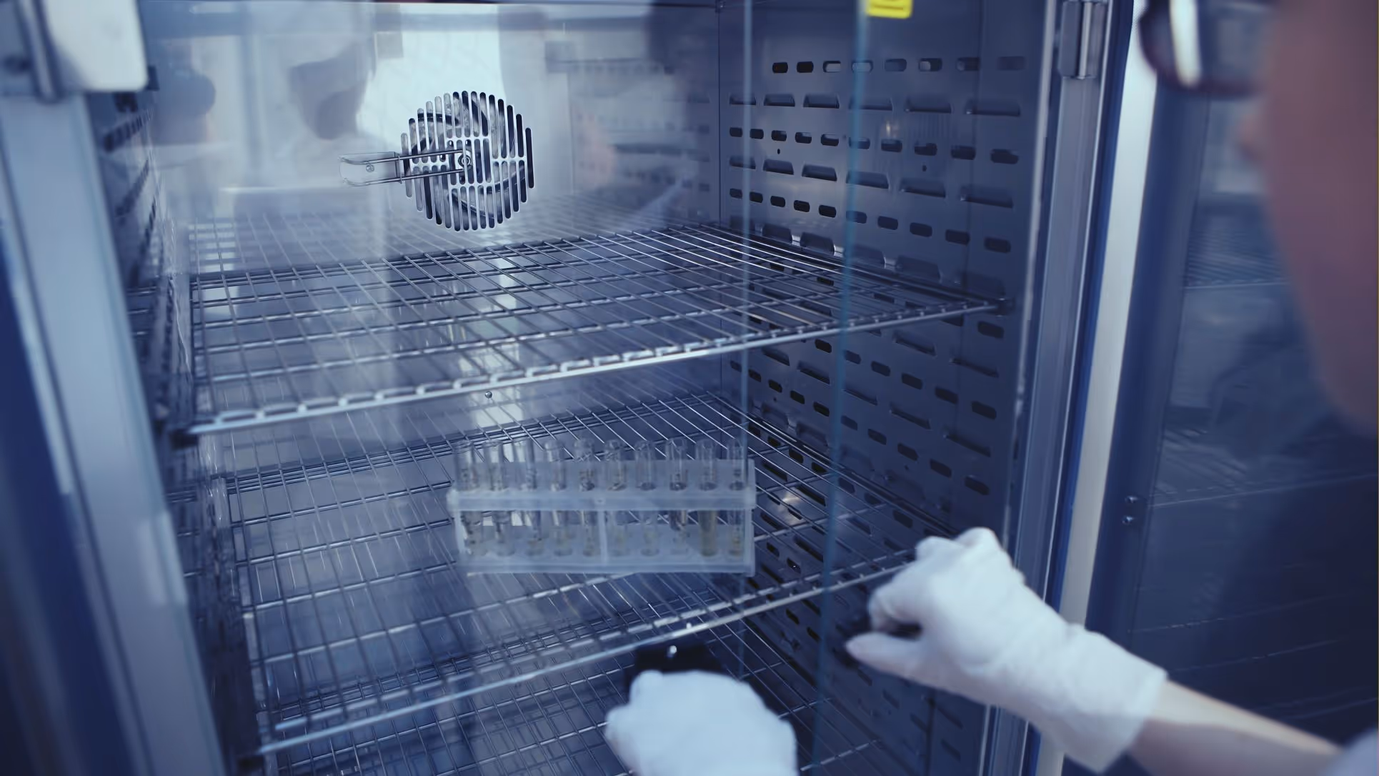 Une personne portant des gants blancs place un porte-tubes à essai à l'intérieur d'un incubateur.