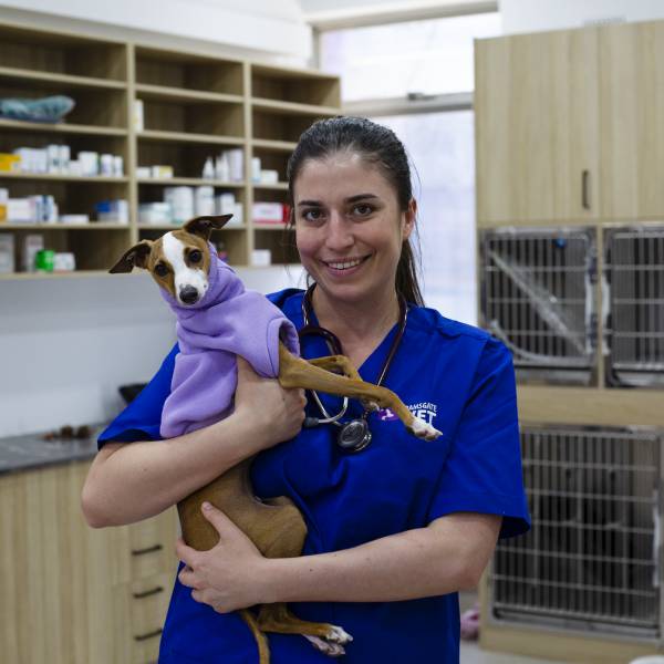 Dr Tessa Mcmahon, Veterinarian at Ramsgate Vet