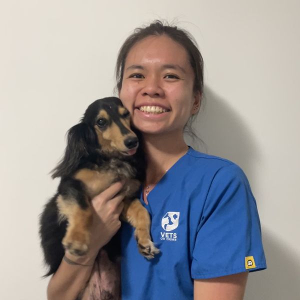 Dr Tiffany Tseng, Veterinarian at Ramsgate Vet