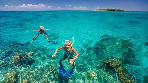 Two snorkellers on Guided Snorkel Tour.