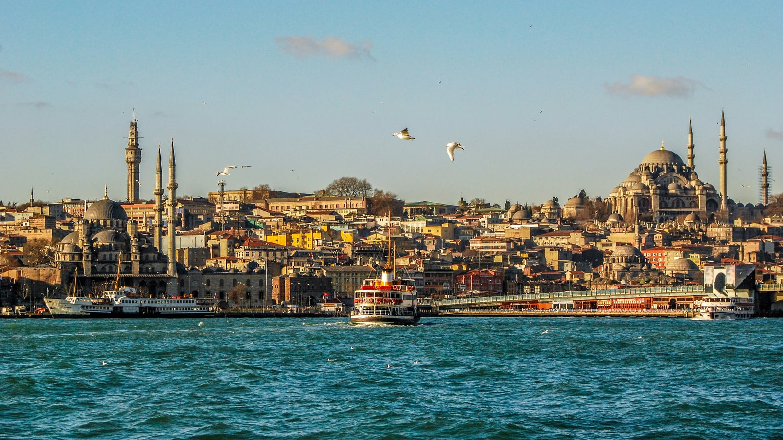 turkey-5225-hero.jpg