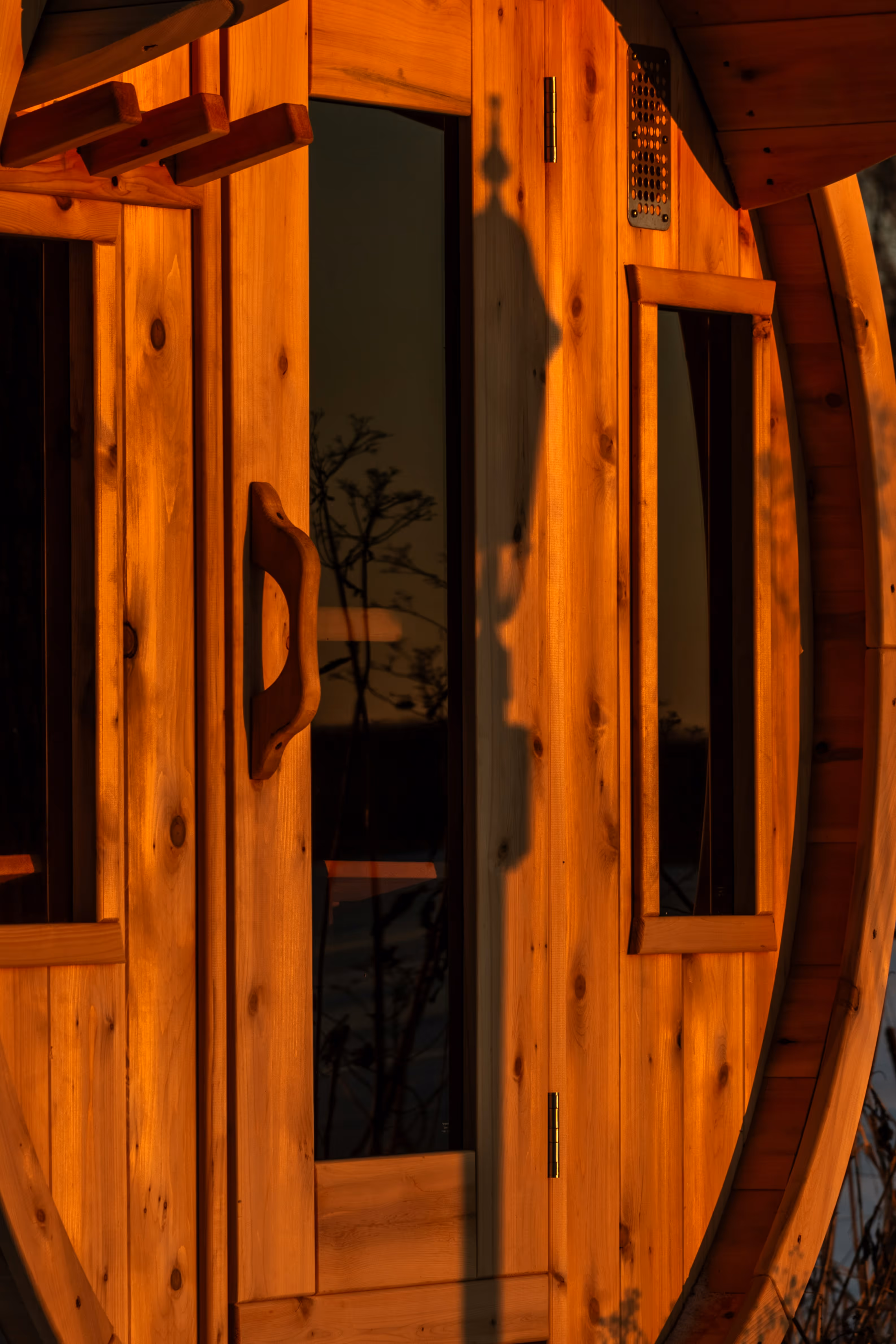 Close-up of a wooden door with a handle and window, bathed in warm sunlight with shadows of plants reflected on the glass.