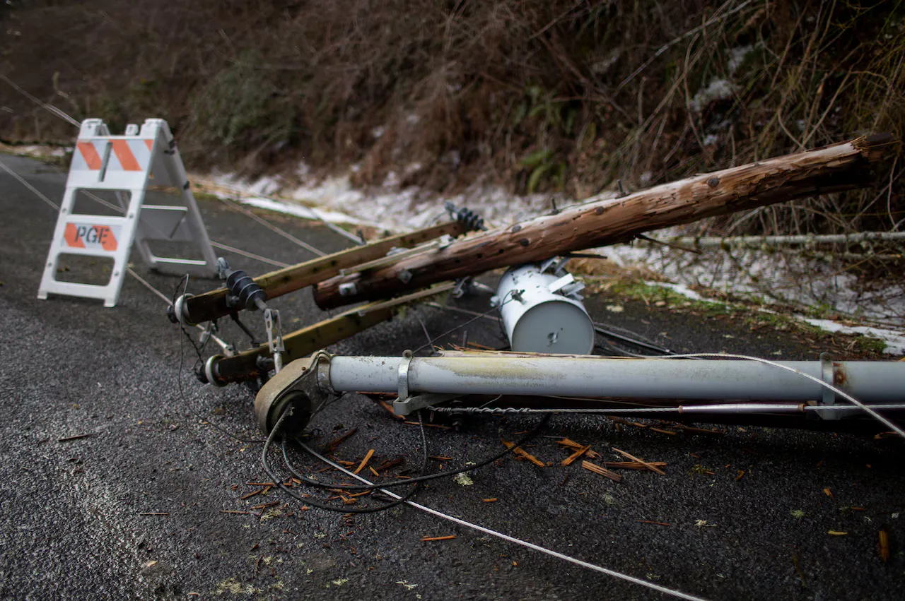 Weathering the Storm - How AI Can Strengthen Grid Resilience